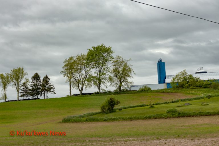 Daltech thesis shubenacadie 06 picture